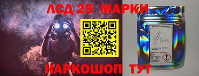 СК Пугачёв