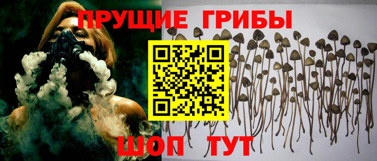 Топки  Галлюциногенные грибы Magic Shrooms  Вход с VPN  Галлюциногенные грибы мицелий 